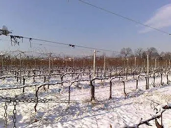 Farmház Caspineda Agriturismo Montebelluna Olaszország